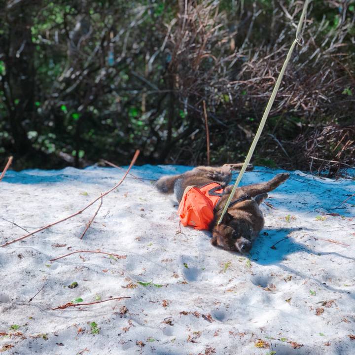 7768f013 9d3b 4920 9fd8 8bb67fd4f1dc 1526810605052