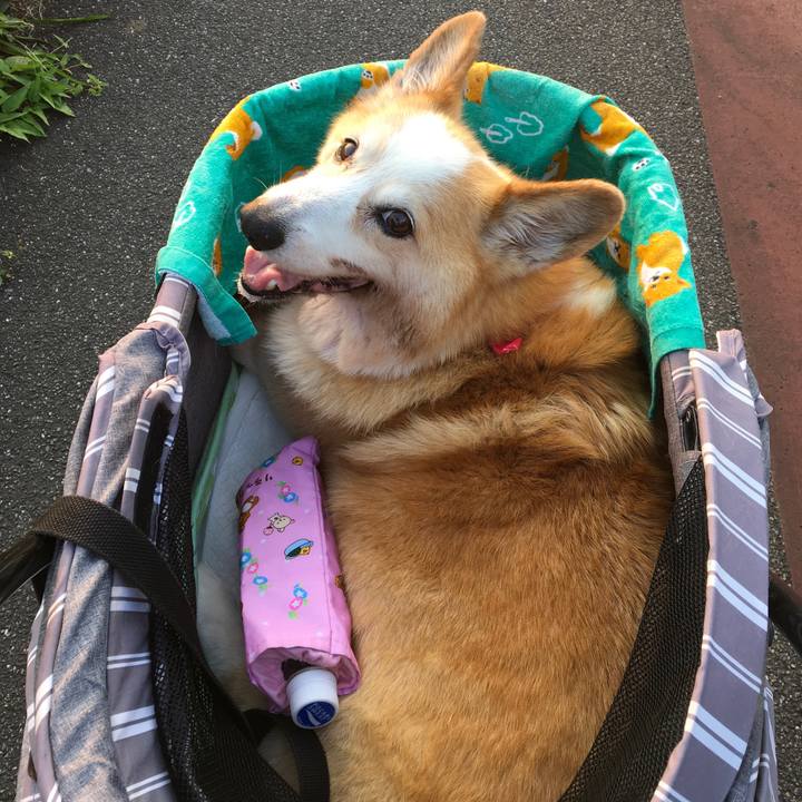 7769108b 240a 4599 86c9 2bb4c66badbb 1564753862721