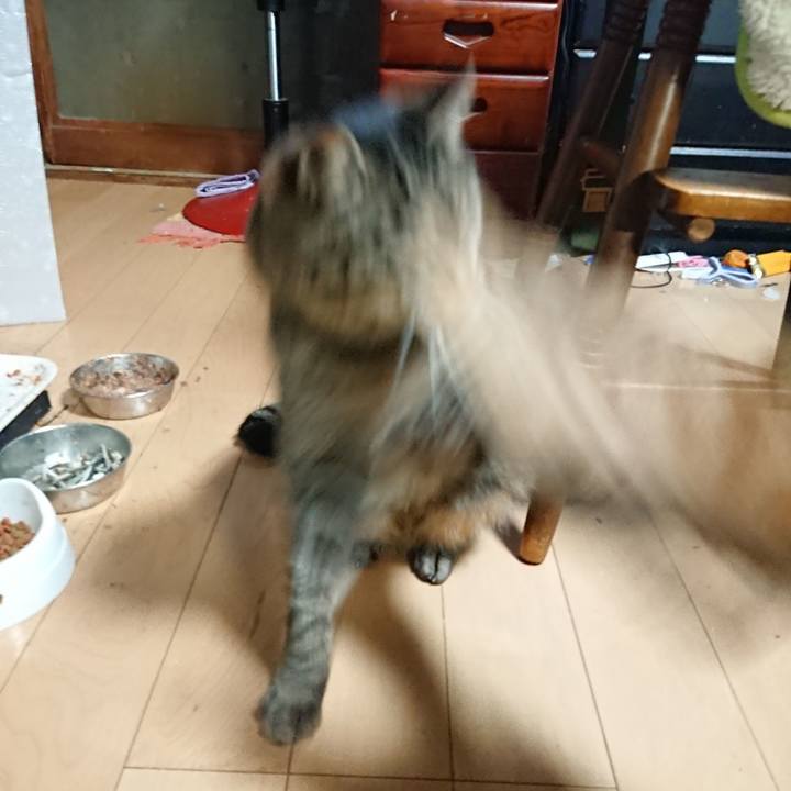 77693ea6 4608 41e9 bf6f f7a31a9b9f63 1642627600283