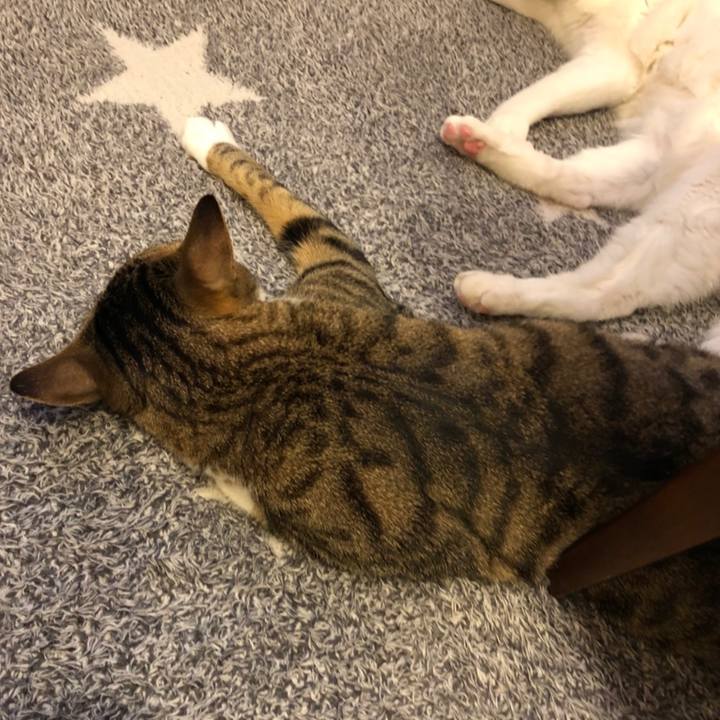 77694d01 b81d 4b49 b648 97e7122988c5 1638962200998