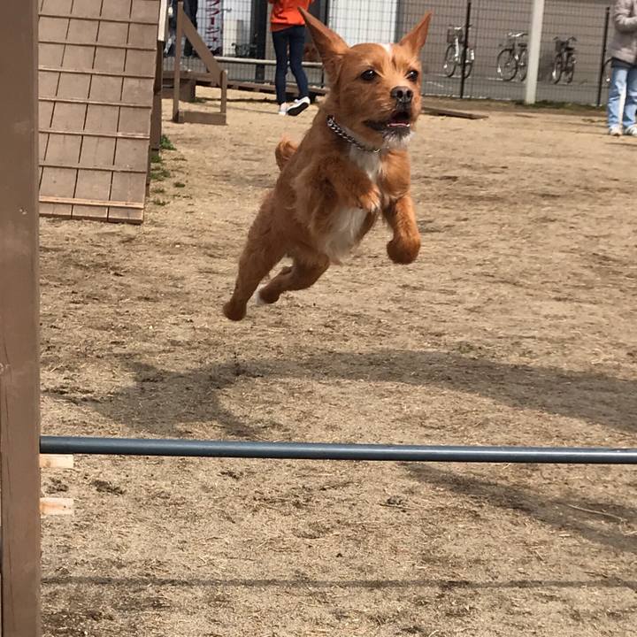 7769586f f45f 4562 b537 8d179ad2b624 1552606586724