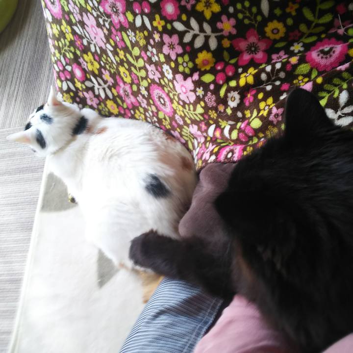 77695ef1 0087 4b41 bc6c aa6ad84bdce4 1555132827811