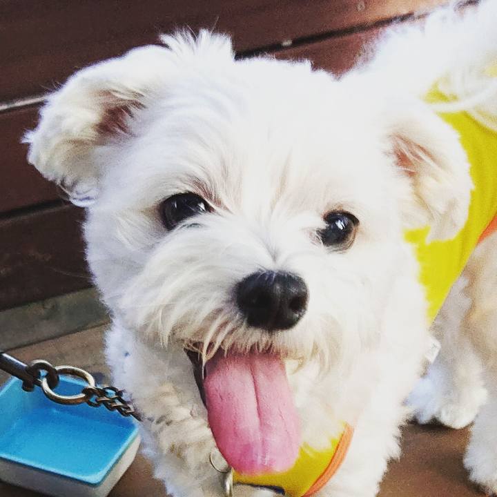 77696e9e 1515 4561 8026 c3c80c23f84f 1542507215170