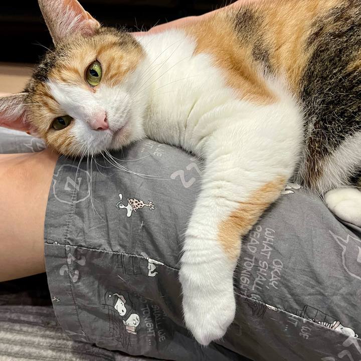 776971ec 2df3 4649 ad57 cef3837f4e74 1755834220287