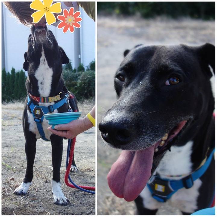 7769837a 9b62 47a4 a8f2 98a319e96467 1632269976111