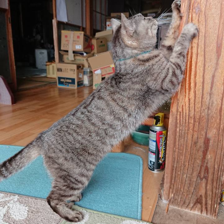 7769b9a5 46c5 4b1b 9688 56232b085076 1553399021744