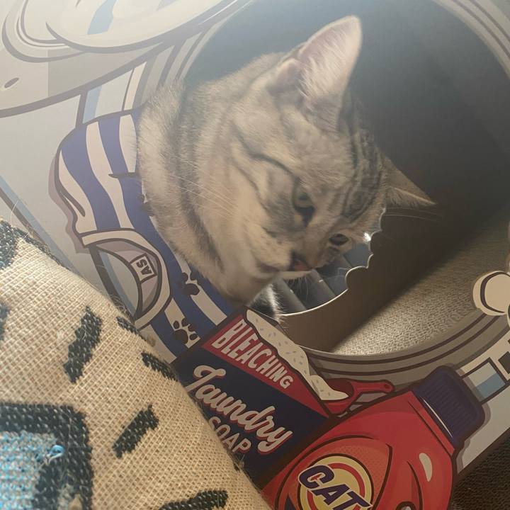 7769c0af 92bc 49a5 9830 709bc1f9e178 1718422536946