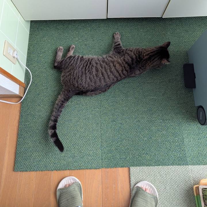 7769eb46 3ce4 42e9 81e5 0eaa0e30980b 1749454782977