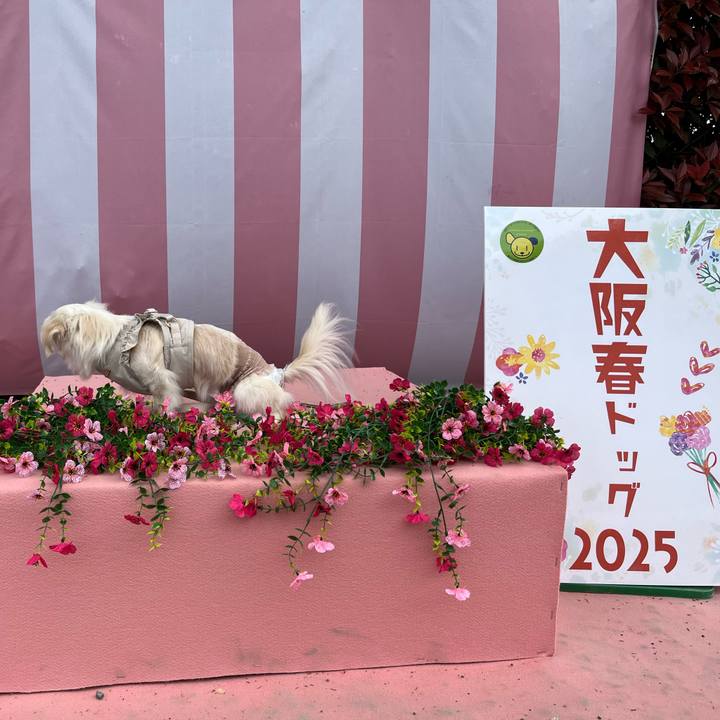 776a0835 5eac 4455 973f dea4a744e886 1745228124067