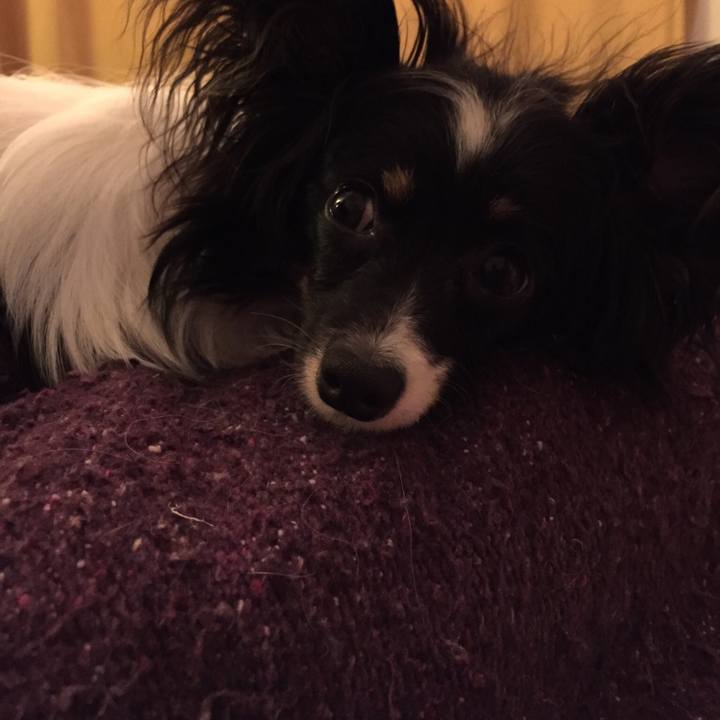 776a4d56 3da4 462c 8db4 6bc0a8179e45 1523429647904