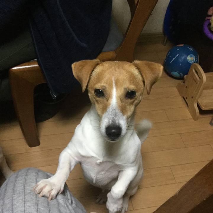 776a6be4 9ca9 48d2 ab3f d139cfa465d0 1545729083611