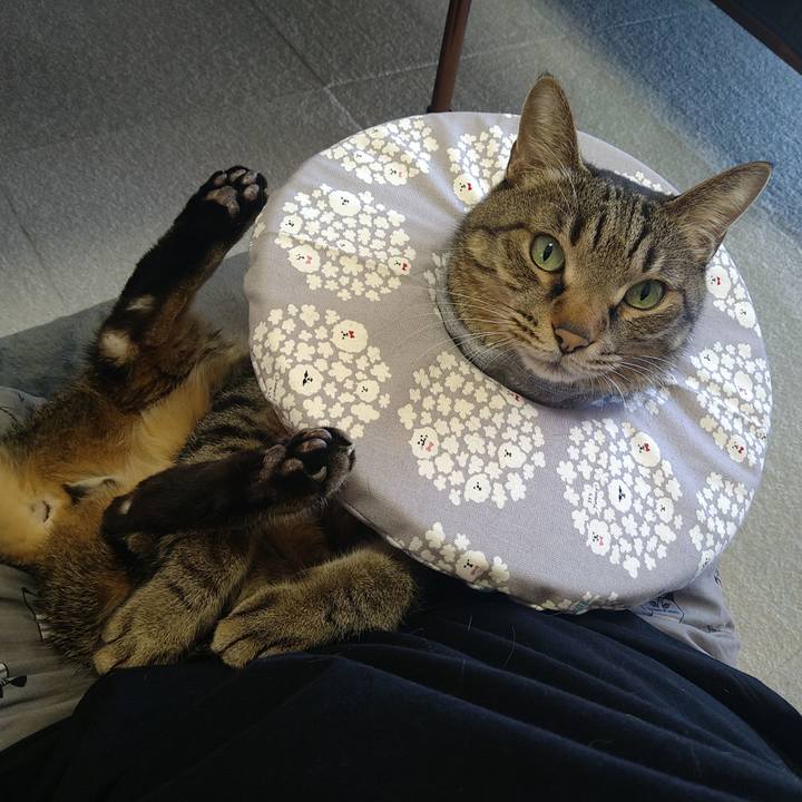 776abbb1 d591 44cb 80a6 640a25cb7dde 1739235257000