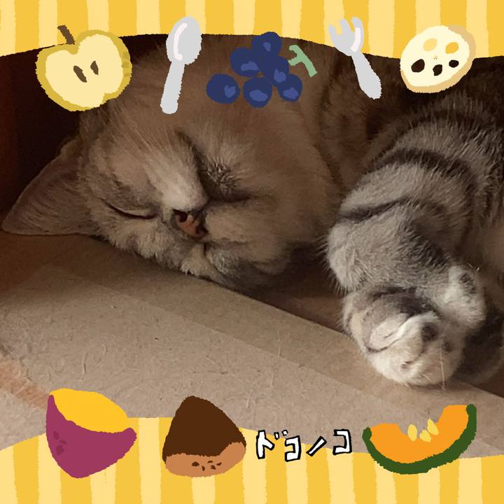 776b05f5 43ba 472d bbb0 ff2adf5c2486 1726877996867