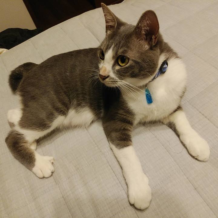 776b0717 dd8a 4c5a 8c81 dc64808de583 1594993179858