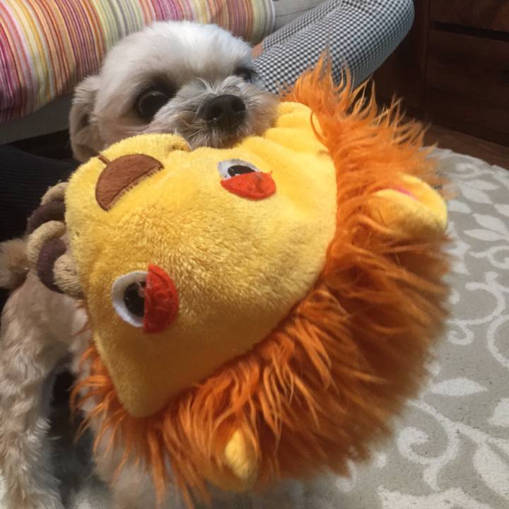 776b2ad1 a05d 4afe a45f 70c8e5f74682 1558182689573