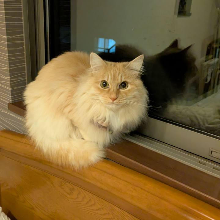 776b3103 9cd3 479b 8983 c030c650fbd7 1744023915268