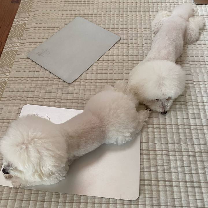 776b338f 5d0d 40c2 81ff 00c553591d18 1660698453511