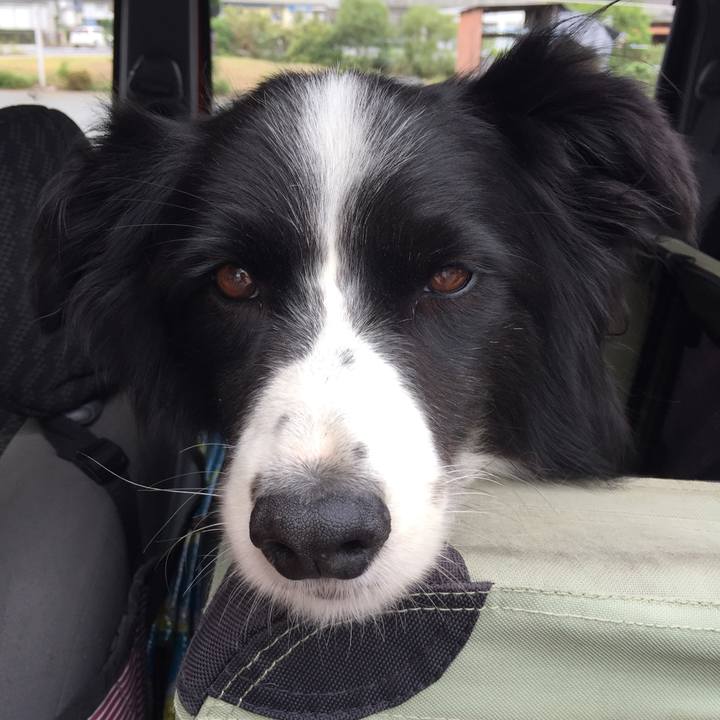 776b377c 4f18 4395 bfce 193a9f6784a7 1537768680699