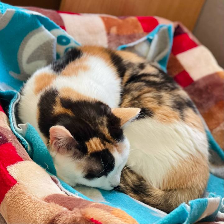 776b3789 3d91 4b83 8707 24840d08f6a3 1642300615809