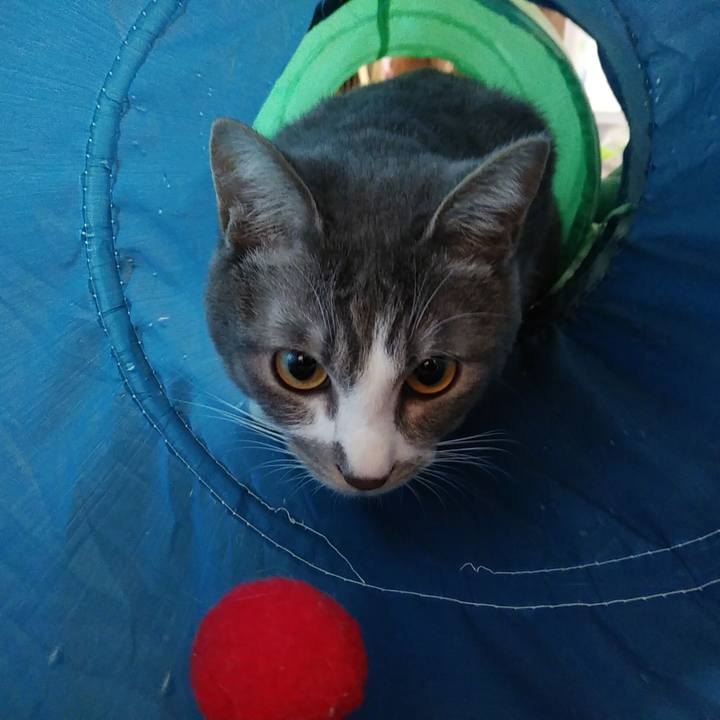 776b415f 423a 4a3a a3d3 931214ac4abd 1586561729223