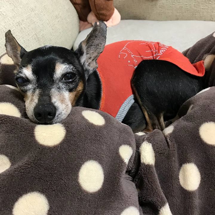 776b753e e28c 4e6b 8469 c82528113d0e 1522150546193