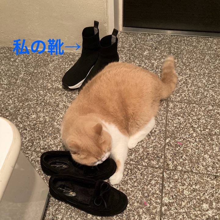 776b7b38 6f0f 4837 b8b1 2ece6e764733 1702213945565