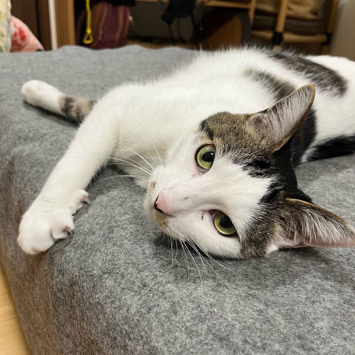 776b9b35 b4e7 4ef7 aafe 07006bc6a1c0 1713965451393