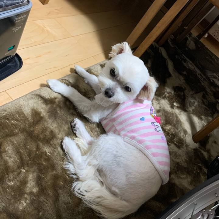 776bb825 a1a4 4764 863a a4fdba056644 1648022717609