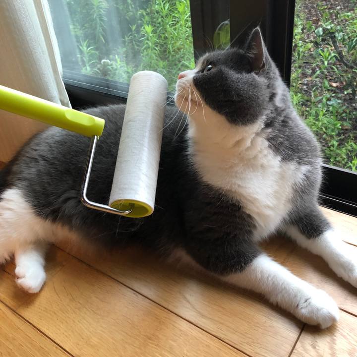 776bc266 9048 40bd 8403 70694ef58a5a 1563008185371