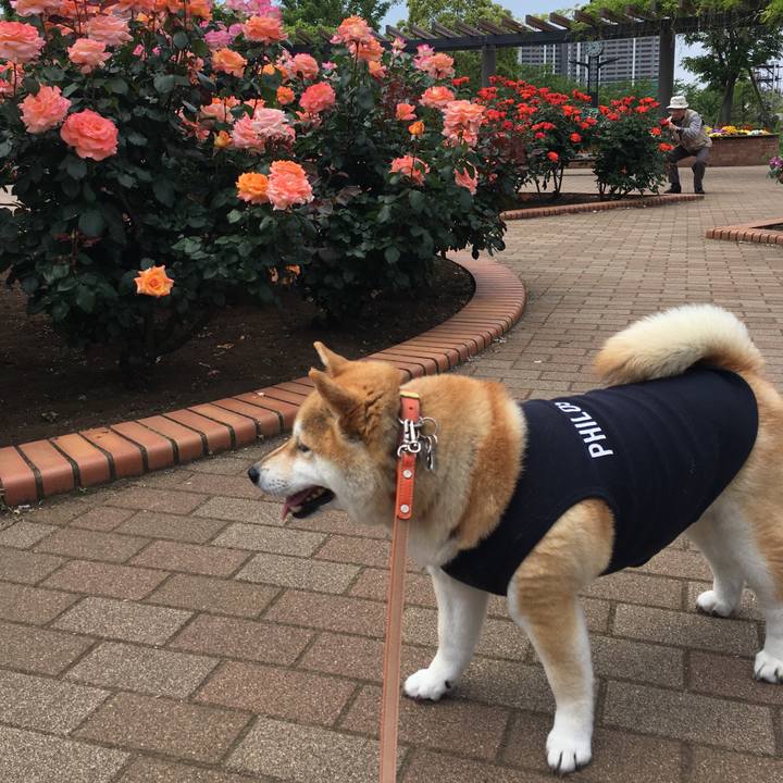 776bc74c 4a7a 4962 a511 29caa46de117 1557716724598