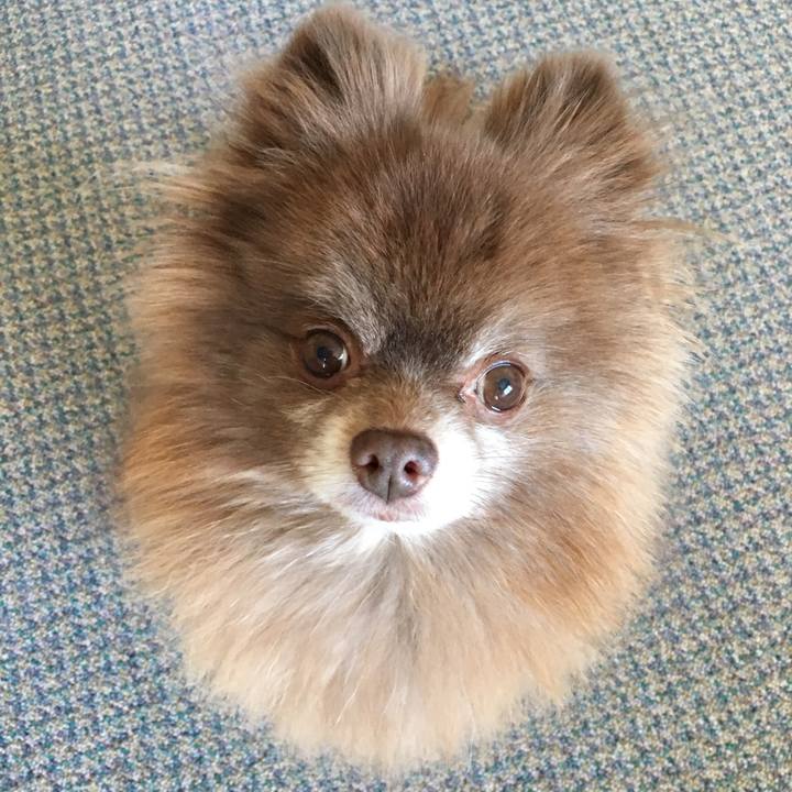 776be603 89bc 410d 8ad1 e67c4ec701af 1523482789725