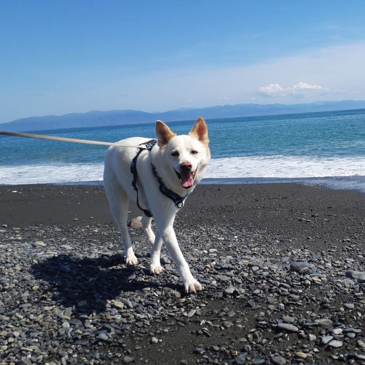 776c0e63 b678 4061 aa1f 0bbf94ea996f 1679656254927