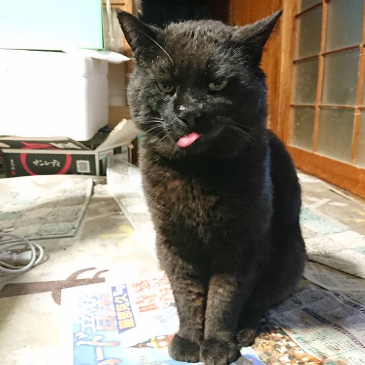 776c5e3c d633 4294 b5d9 adeed2d22b0f 1653993604840