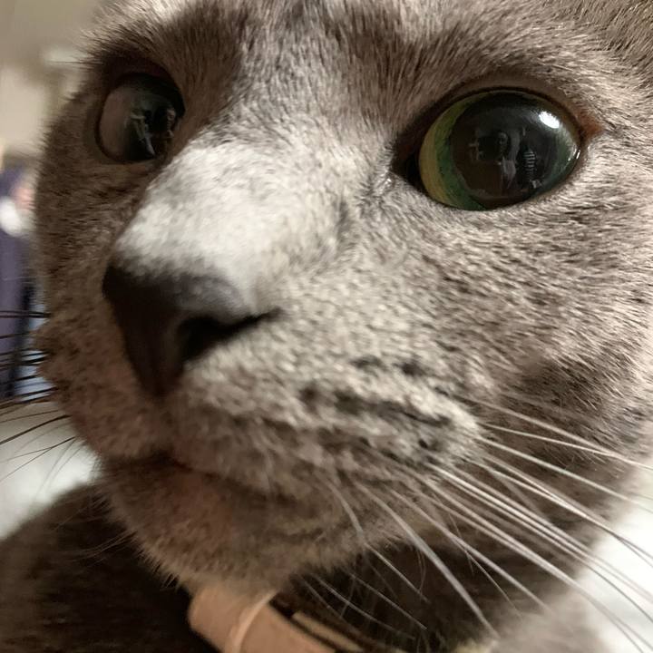 776c7058 69e0 431f 9296 ba21f89aca27 1637409832016