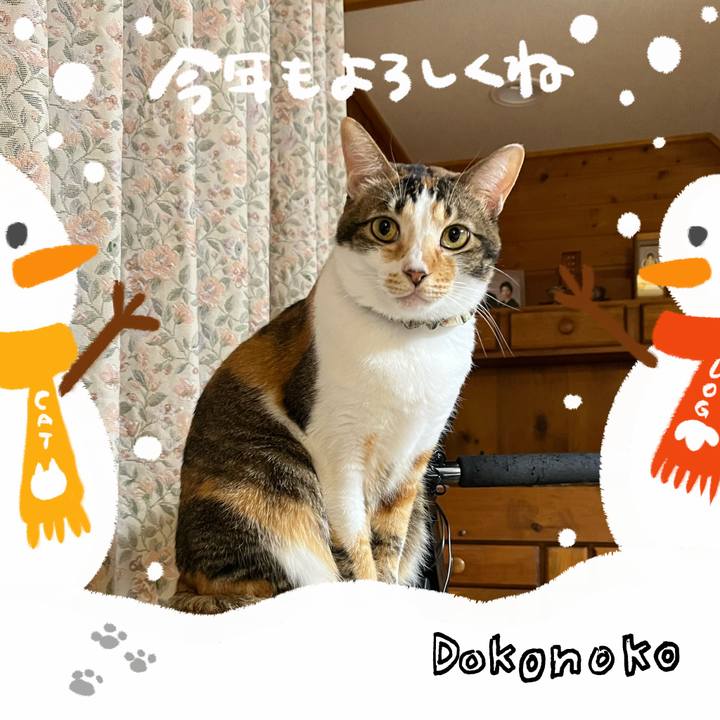 776c751c 7f30 416a 8d87 ee0467ae4b65 1704067466241