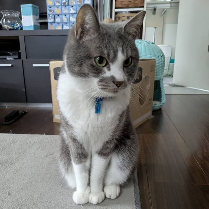 776c8a6a c7ec 4de3 bb2a f5e40ca44c9d 1775100602954