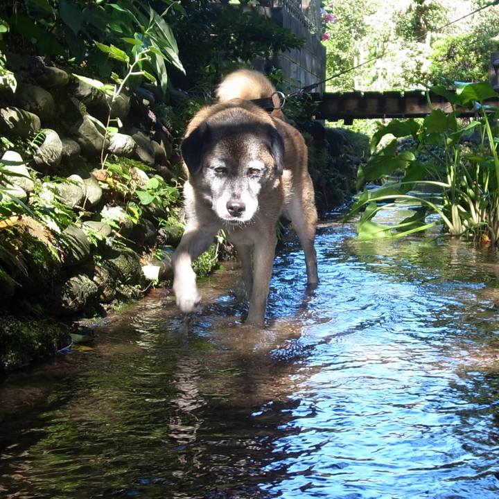 776c967f 35ca 45ad 8db6 e215d534e740 1588897631893