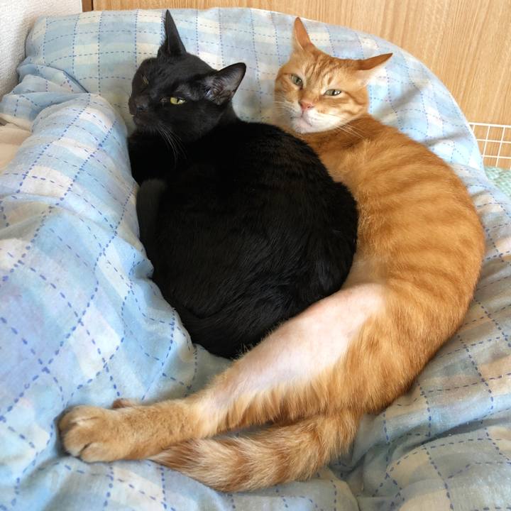 776cb187 0318 414a 94bb 3eb3905e268f 1664684327852