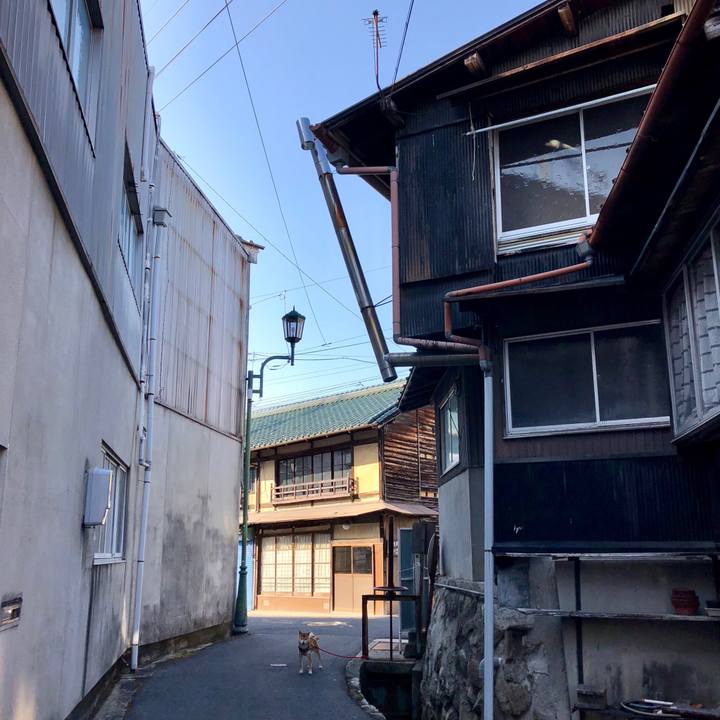 776ccac4 37fa 4d14 a010 4fb577fdd818 1521362520804