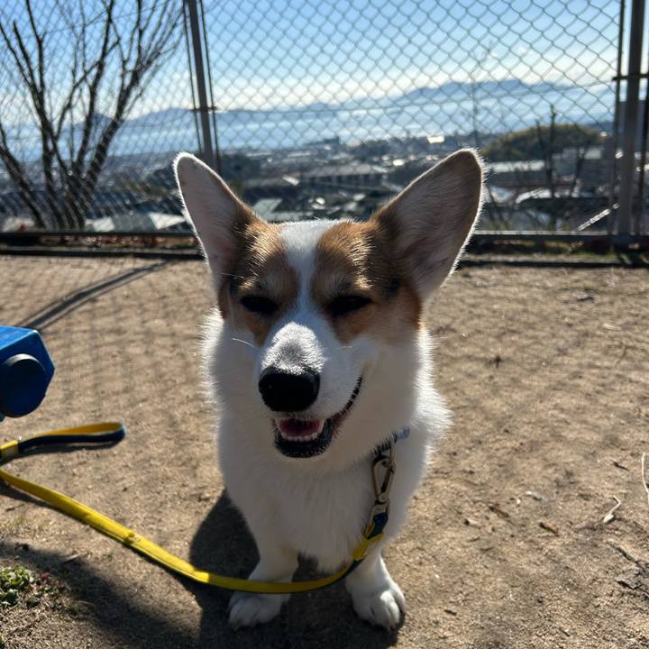 776cdf8e 9450 4448 9863 22e9cacc3eb4 1766029703186