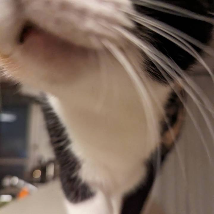 776d0cf9 7859 4e7e b4db 1f9aae6a0d79 1708227126163