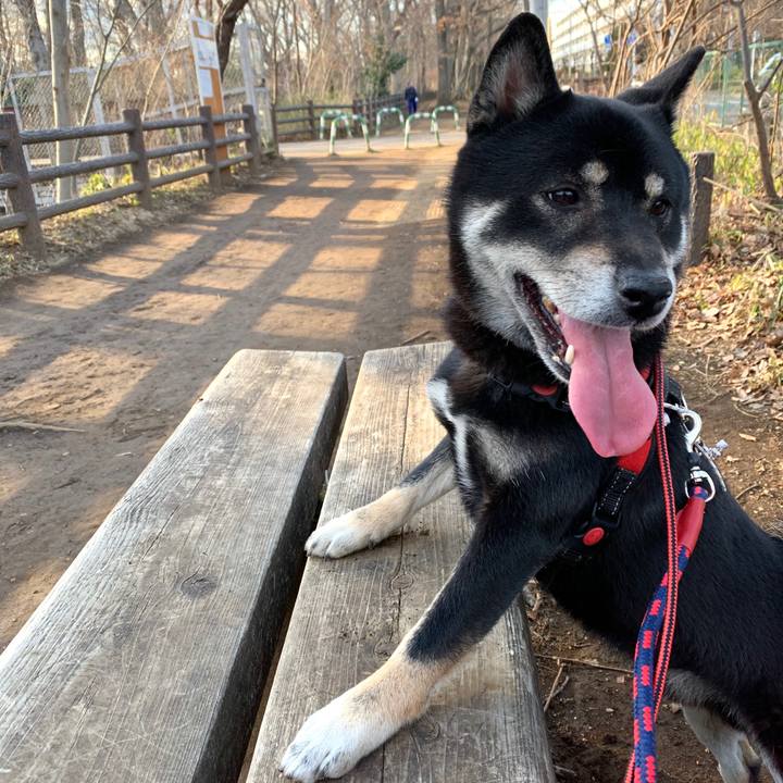 776d176b 267c 4cf7 a807 04624413b9ca 1580657973240