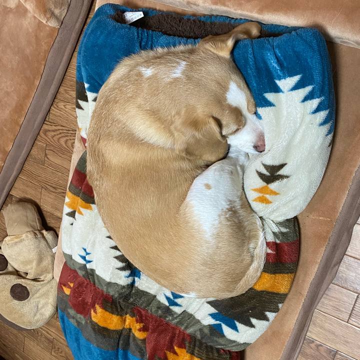 776d2e95 fa3e 4cec bdb1 00723083c558 1647222436700