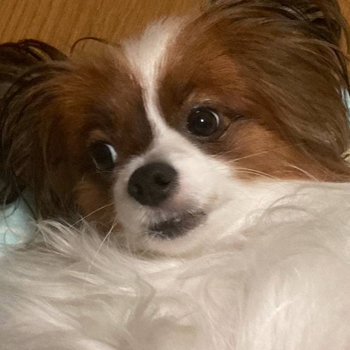 776d5697 3374 46f4 871d 6f995fe474fa 1663569523213