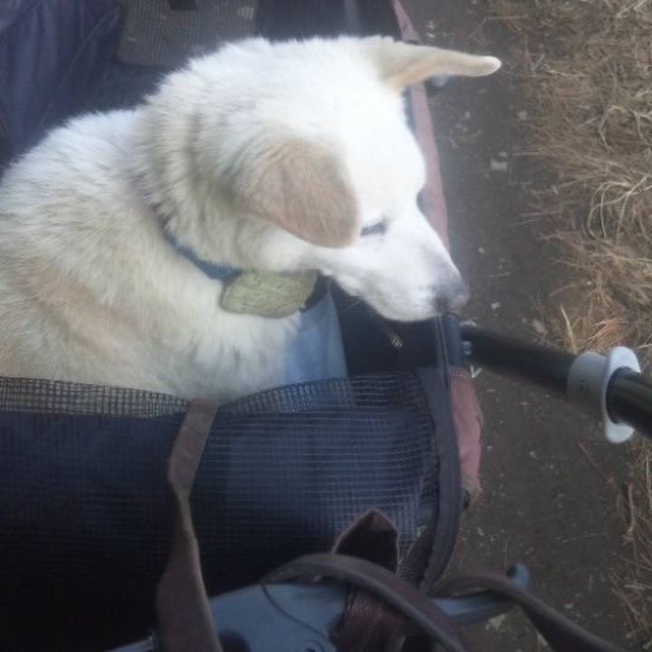 776d68fd 864f 426c a534 8807cad1e456 1514530508915