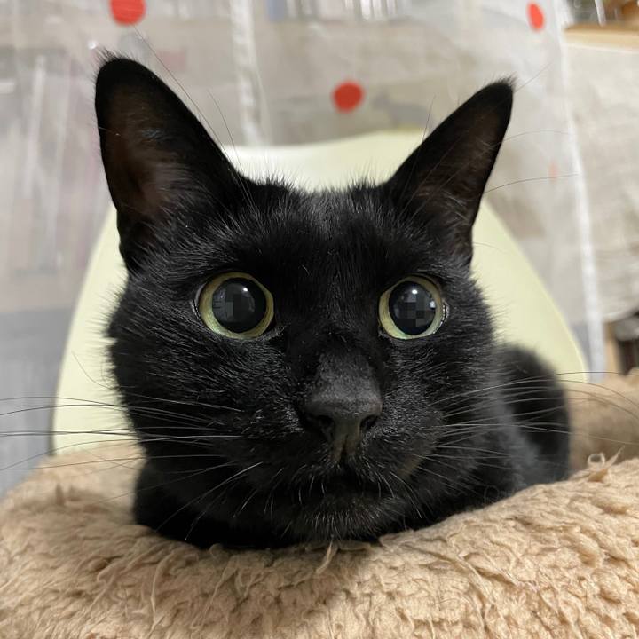 776da7f1 24f9 4021 9db5 ed8d8a1787d8 1666707821275