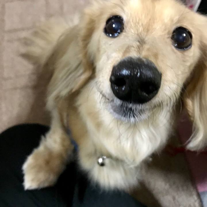 776de741 77e1 40c8 8fc9 294ecfa4ee4c 1549411631341