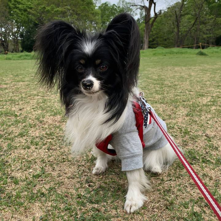 776e0ed7 d28b 4cd9 a8cc 64def4771356 1556018686706