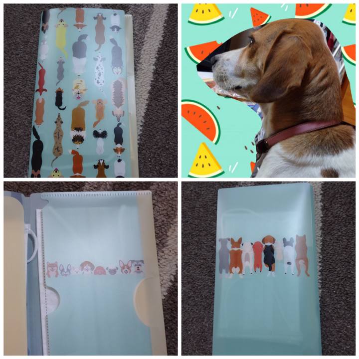 776e8afc 39a7 4b92 959e 2a2f26da14a7 1599027685329