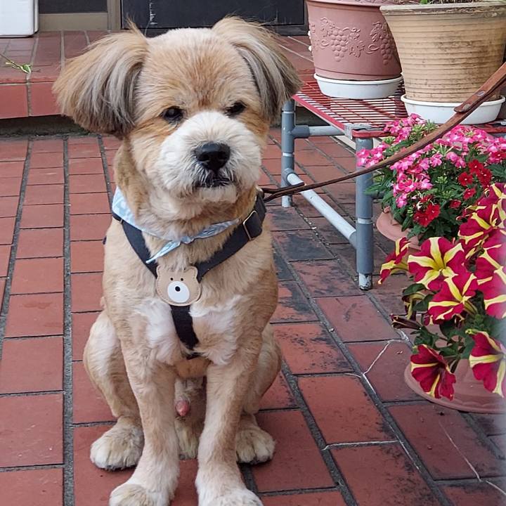 776ea671 d580 40f5 9497 92095156e129 1652780533244